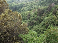 nte Rinatu-20110615 046